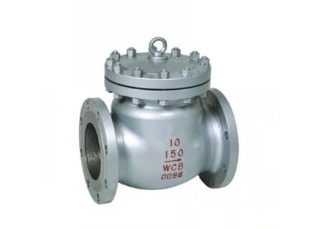 Check Valve